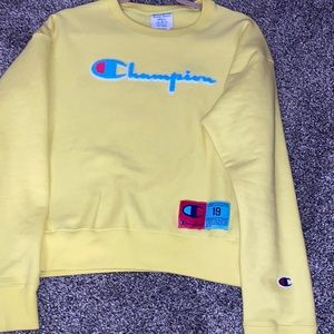THE CUTEST CHAMPION CREWNECK!!
